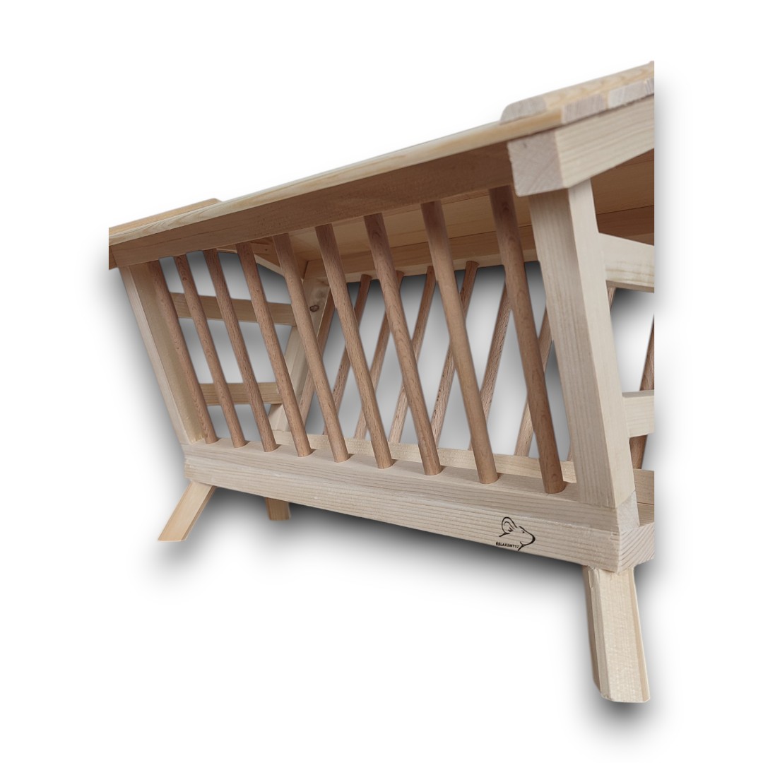 Paśnik LEŚNY - obrazek 4