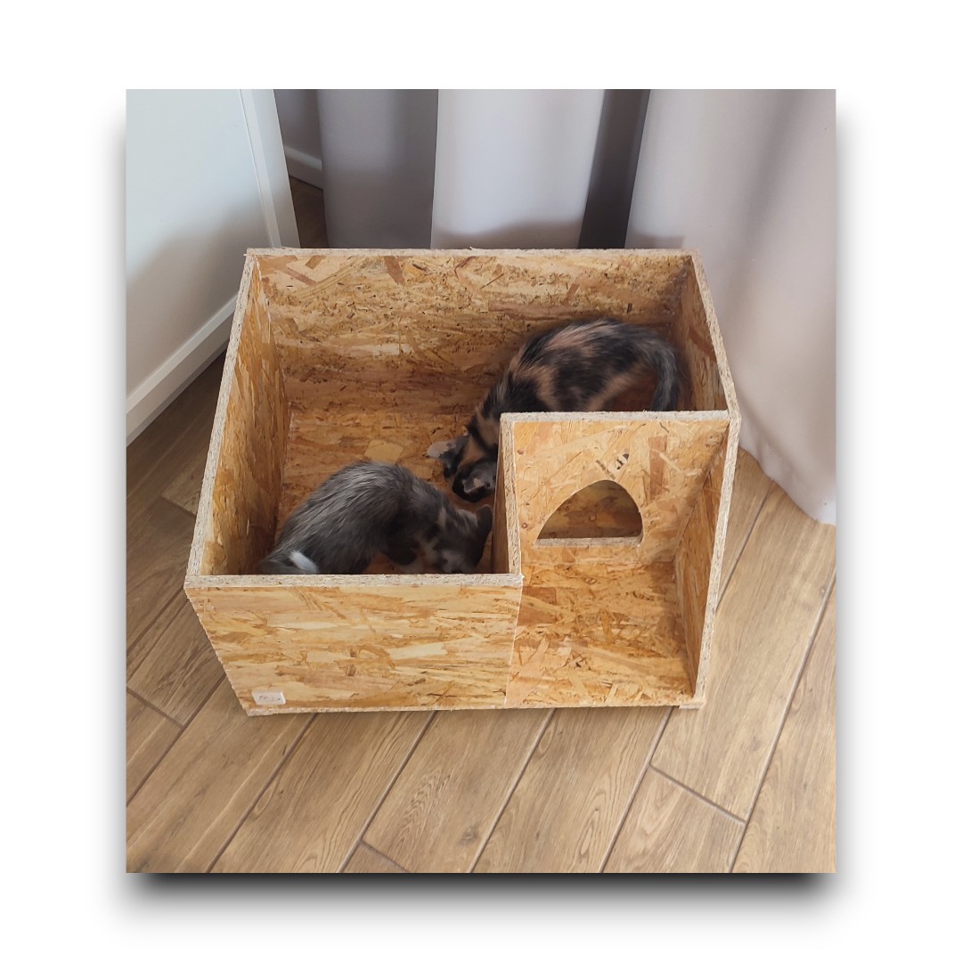 Domek dla kota ZEWNĘTRZNY - obrazek 6