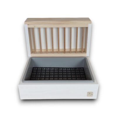 kuwetopaśnik seria KOLOROWE SZALEŃSTWO