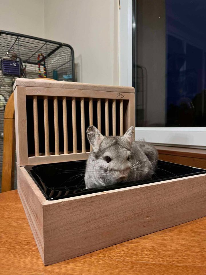 Kuwetopaśnik MARANTI - obrazek 8