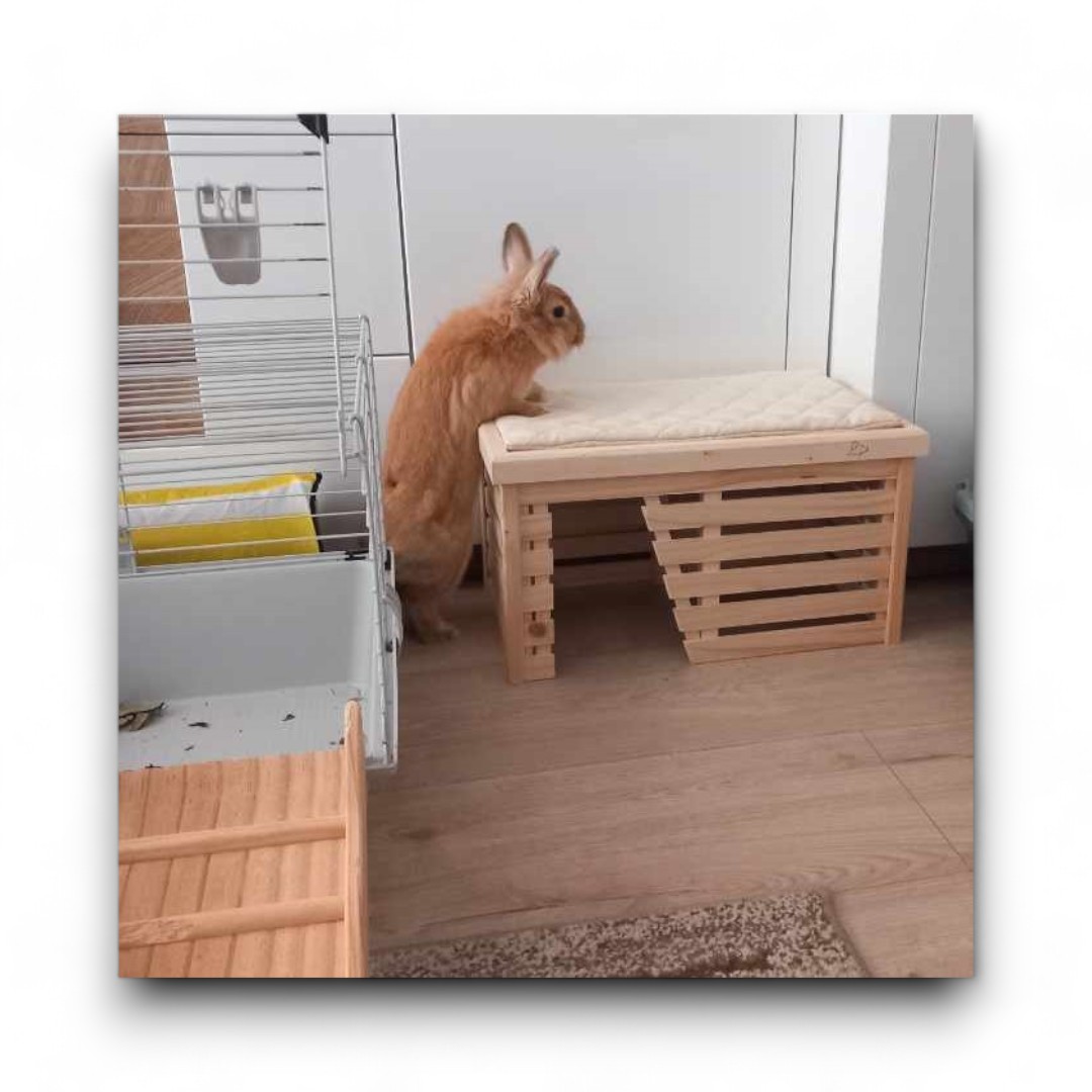 Domek mała ALTANA - obrazek 6